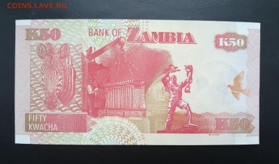 ЗАМБИЯ 50 квача 2009г., ДО 23.01. - Замбия 50 квача 2009г., В.(1)