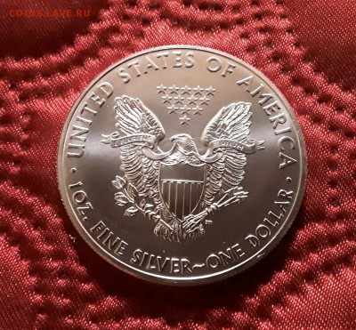 США. 1 доллар 2012 г. Шагающая свобода. До 22.01.19. - 20190119_090931