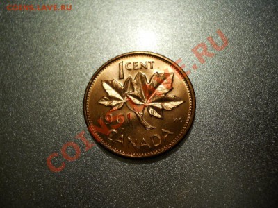 ЦЕНТЫ США В UNC с 1958 по 1985!!! 11 разных монет + бонус! - DSCN2164.JPG