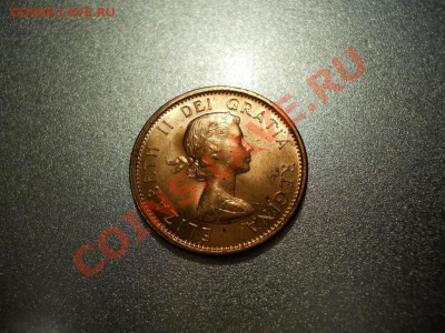 ЦЕНТЫ США В UNC с 1958 по 1985!!! 11 разных монет + бонус! - DSCN2166.JPG