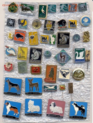Значки разные животные ФИКС до уход в архив - 1 (1)
