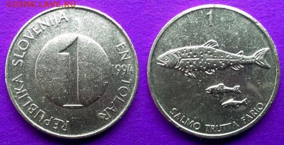 Словения - 1 толар 1994 года до 24.01 - словения 1 толар 1994 года