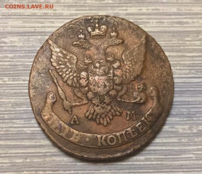 1796 гг. АМ. до 22.01.19 - 9025F061-7B4F-4DEC-BB6D-F03747795EDE