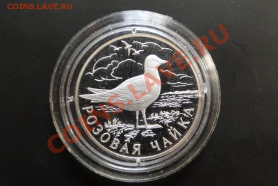 1 рубль 1999 - Розовая чайка, серебро, пруф - DSC05771-1
