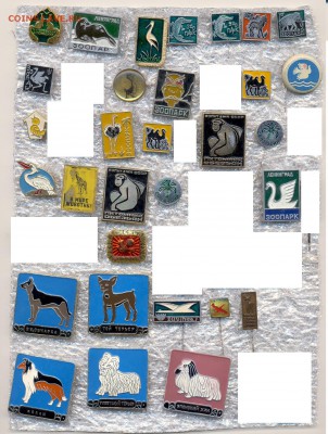 Значки разные животные ФИКС до уход в архив - 1