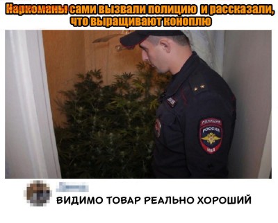 юмор - 5vD9f7GjZeY