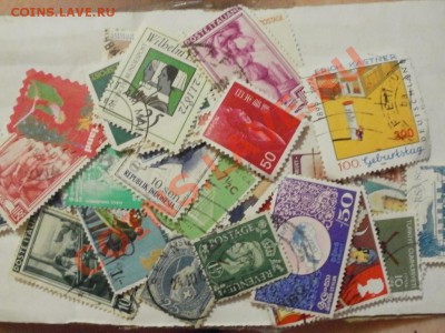 Конкурс!!! Сколько у моего друга пальцев!!! - P6043544.JPG