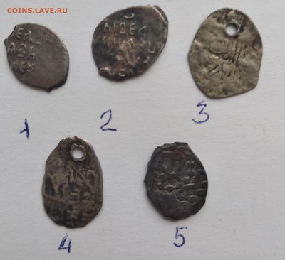 5 чешуек на атрибуцию - чешуя1
