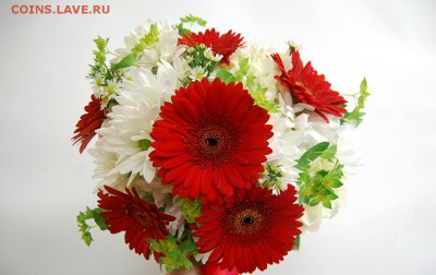 abonent-x с Днём Рождения!!! - 404677-svetik