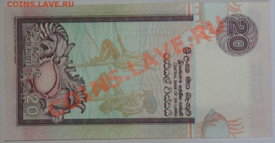 Недорогие иностранные банкноты. Состояние Пресс. - Шри Ланка 20 рупий 2004-06 - 1