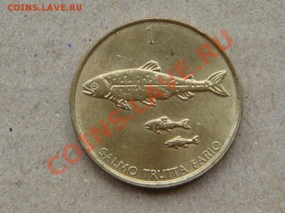-v- Словения 1 толарий 2001 Рыбы до 9.06(21.00) - DSC02472.JPG