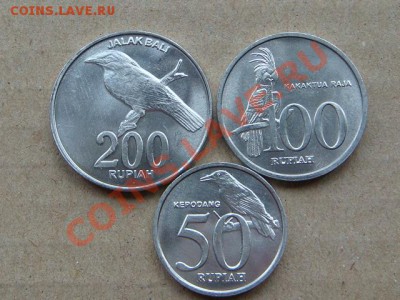 -v- Индонезия (3шт.) Птицы до 9.06(21.00) - DSC02475.JPG