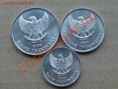 -v- Индонезия (3шт.) Птицы до 9.06(21.00) - DSC02476.JPG