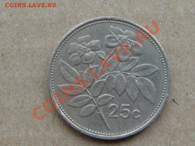 -v- Мальта 25 центов 1998 до 9.06(21.00) - DSC02481.JPG