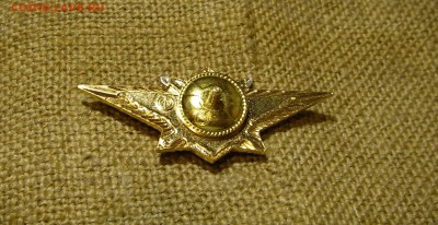 Знак классности. - P1010184.JPG
