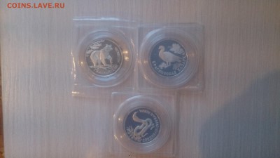 Набор Красная книга 1994 в Запайках до 27.01. 22.10 - DSC_4397.JPG