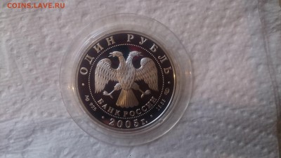 Красная книга 1 Рубль 2005 Длинноклювый пыжик до 27.01 - DSC_4352.JPG