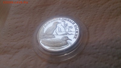 Красная книга 1 Рубль 2005 Длинноклювый пыжик до 27.01 - DSC_4342.JPG