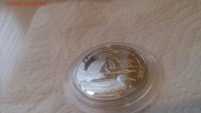 Красная книга 1 Рубль 2005 Длинноклювый пыжик до 27.01 - DSC_4337.JPG