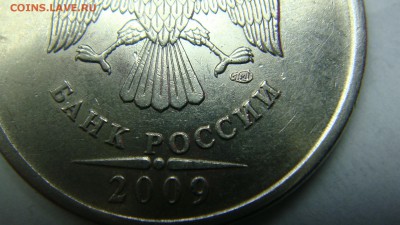 Вопросы по разновиднстям от сахарок - DSC07760.JPG