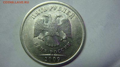 Вопросы по разновиднстям от сахарок - DSC07759.JPG