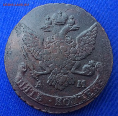 5 копеек 1790 АМ до 24 января 22-00 МСК - 25462987-C5C4-4BDC-9CB2-FE3A272CC04E