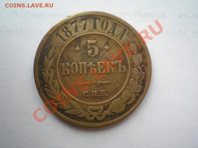 5 коп. 1877 г. СПБ до 07.06.11. в 22.00 мв - P6040034.1