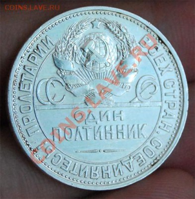 1 - DSC_4203 копия