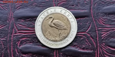 Красная книга 1993. Аист. Нерлохой. До 27.01 - IMG_20190122_230142