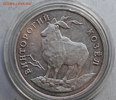 Рубль 1993 год.Винторогий коозел. - IMG_3752.JPG