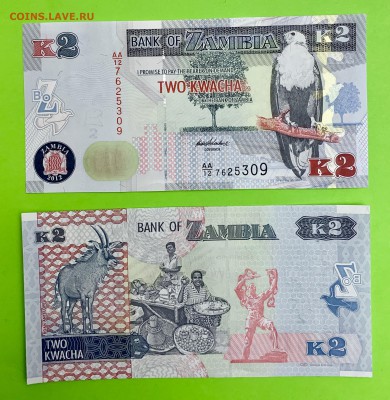 2 Квача Замбия UNC пресс - 759CD766-B668-4072-8B26-B9BDF81C7CDC