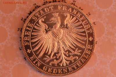 ФРАНКФУРТ 1863  Ассамблея - IMG_6317.JPG