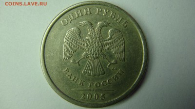 Вопросы по разновиднстям от сахарок - DSC07812.JPG