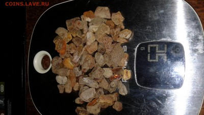 янтарики россыпью до 26.01 - 20190121_173343