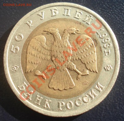 50 руб 1993 Черноморская афалина до 9.06.11(21-00) - афалина ав.JPG
