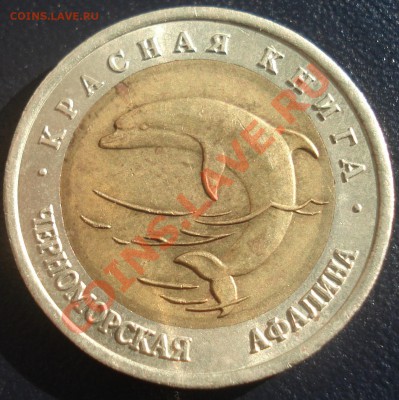 50 руб 1993 Черноморская афалина до 9.06.11(21-00) - афалина рев.JPG