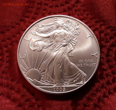 США. 1 доллар 2009 г. Шагающая свобода. До 29.01.19. - 20190125_120720