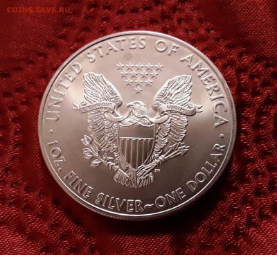 США. 1 доллар 2009 г. Шагающая свобода. До 29.01.19. - 20190125_120739