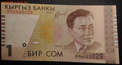 Киргизия 1 сом, до 30.01.2019 - Киргизия 1 сом (1)