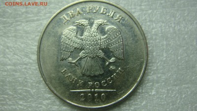 Вопросы по разновиднстям от сахарок - DSC07818.JPG