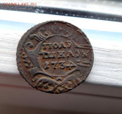 Интересная полушка 1734 - D3881