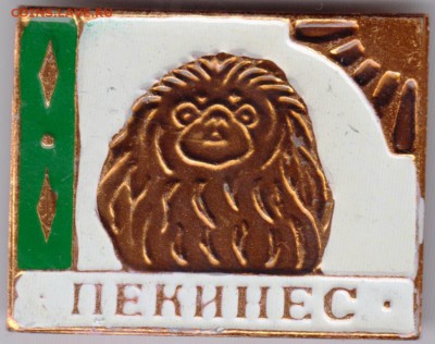 Знак ПЕКИНЕС до 02.02.19 г. в 23.00 - 005