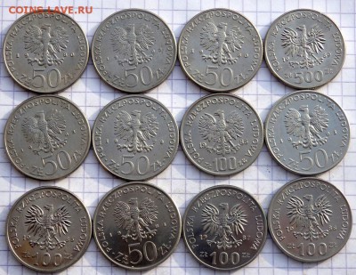 Солянка злотых "короли" 12 шт. до 29.01.19 22-00 - P1270345.JPG