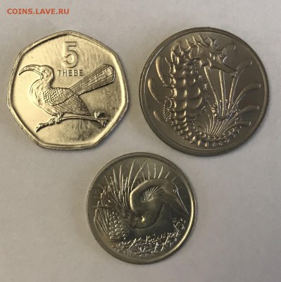 25 монет UNC с изображением животных, птиц, растений до29.01 - 02499537-CB99-457D-AE74-AFF50135B02E