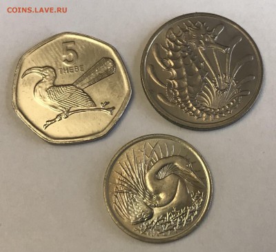 25 монет UNC с изображением животных, птиц, растений до29.01 - 47DC8D80-AB52-46C7-AF9B-38C10E21833D