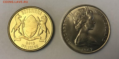 25 монет UNC с изображением животных, птиц, растений до29.01 - F1801684-D7EF-44CB-8EC6-A552D16078E0