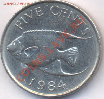 Бермудские о-ва 5 центов 1984 г.До 7.06.11 г. 20-00 МСК. - Бермуды 84