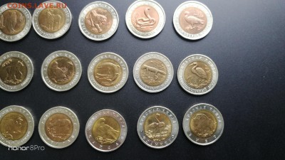 Красная книга 1991-1994 15 монет с 200р, отличная. - IMG_20190123_132711