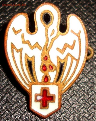 Птица с красным крестом - DSC08658.JPG