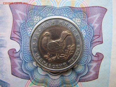 Красная Книга 50 рублей 1993 "Кавказский тетерев" - IMG_1772.JPG